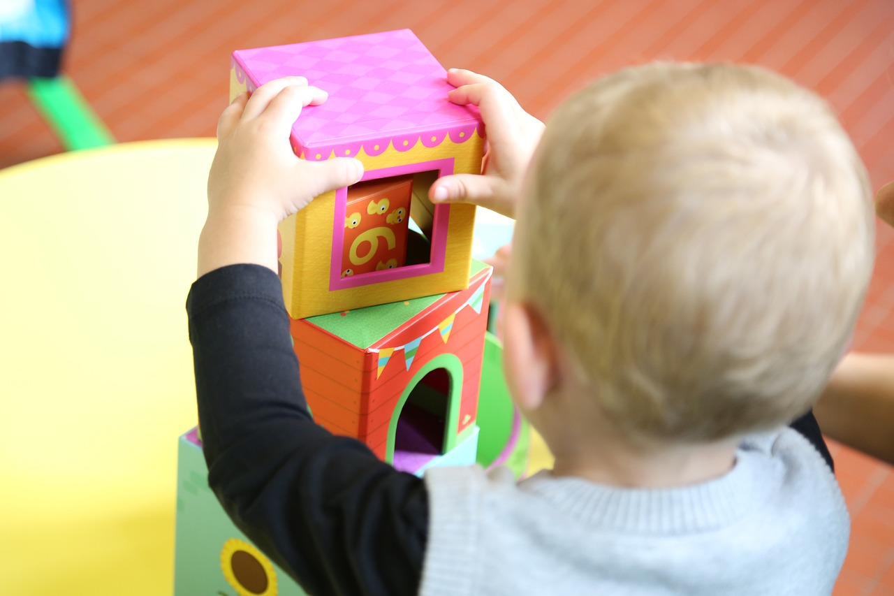 该把试管代生的孩子送幼儿园吗（还送试管代生的孩子去幼儿园吗）